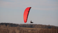 Параплан ParAAvis Zorro III в Краснодаре 